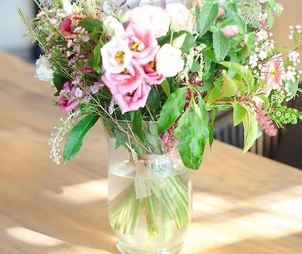 Maison Caroline - 10 Personnes Avec Piscine A 5km De Tropez Villa *