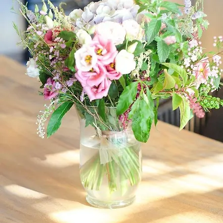 Maison Caroline - 10 Personnes Avec Piscine à 5km De Tropez Villa *